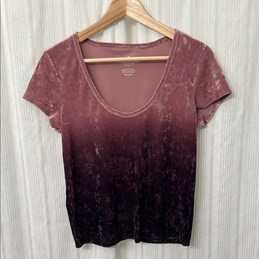 EUC American Eagle Outfitters Crushed Velvet Ombre Top